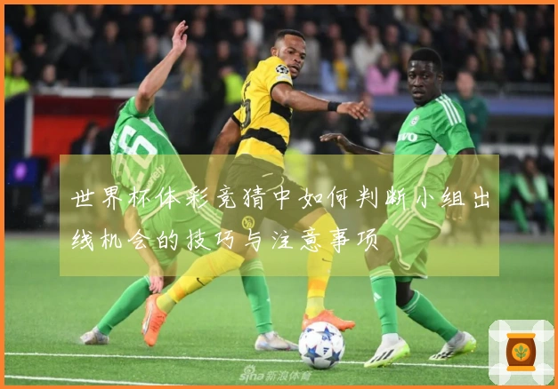 世界杯体彩竞猜中如何判断小组出线机会的技巧与注意事项