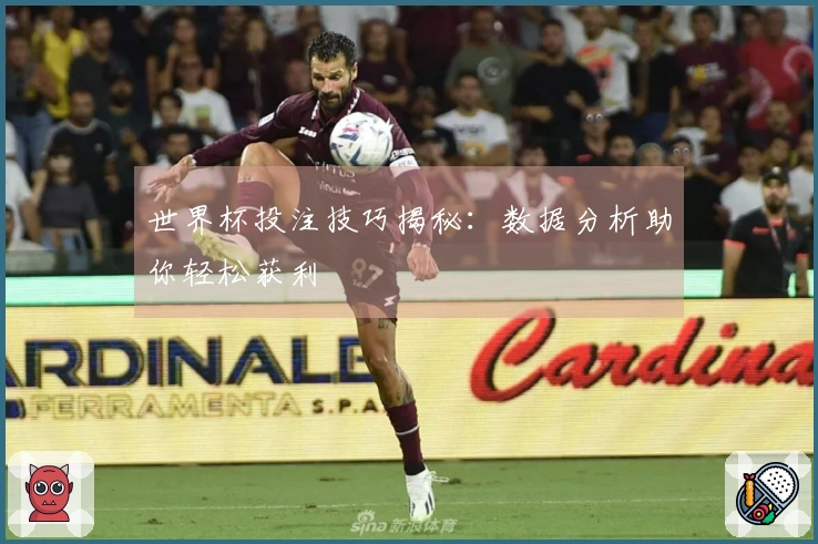 世界杯投注技巧揭秘：数据分析助你轻松获利