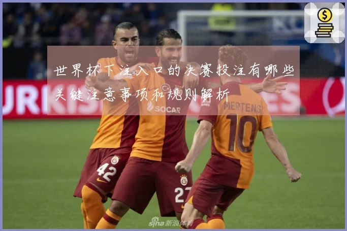 世界杯下注入口的决赛投注有哪些关键注意事项和规则解析
