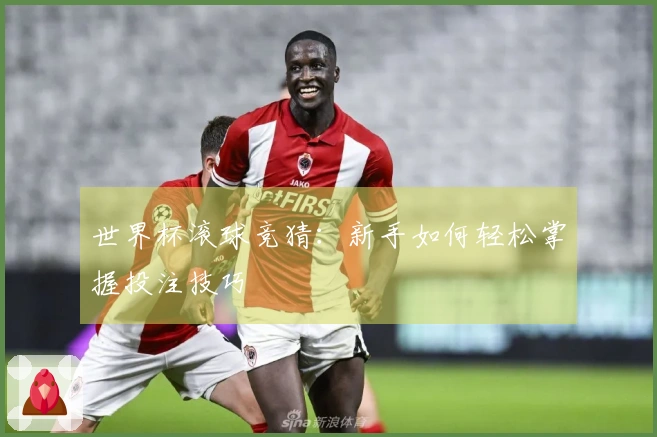 世界杯滚球竞猜：新手如何轻松掌握投注技巧