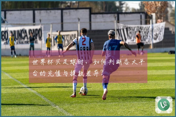 世界杯买足球时，如何判断各大平台的充值与提款差异？
