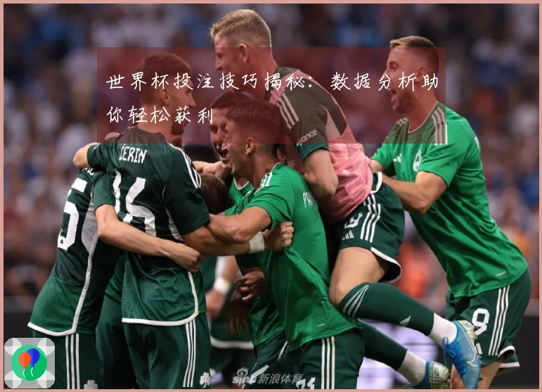 世界杯投注技巧揭秘：数据分析助你轻松获利