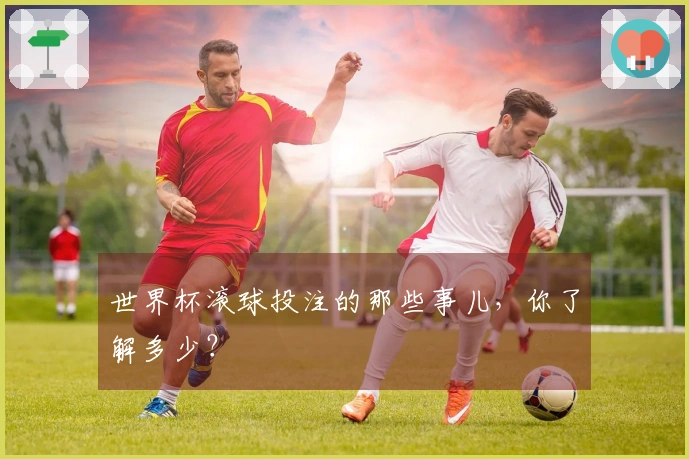 世界杯滚球投注的那些事儿,你了解多少?