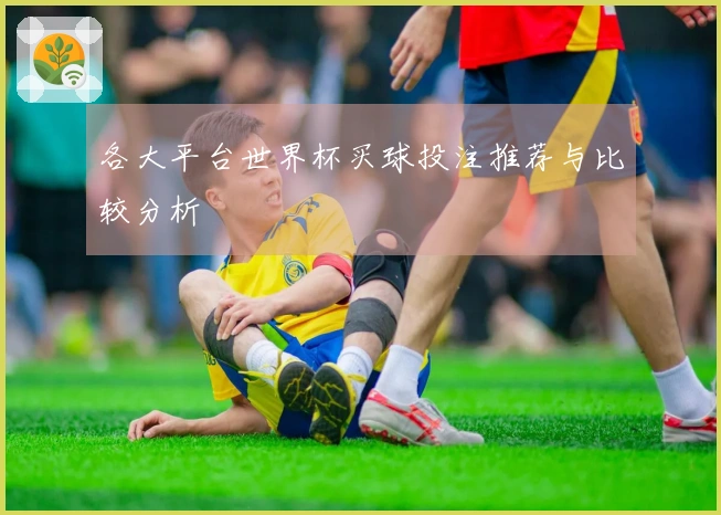 各大平台世界杯买球投注推荐与比较分析